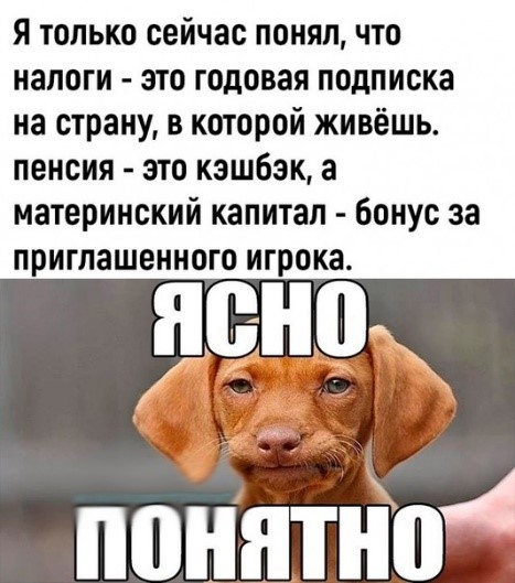 1_12.jpg