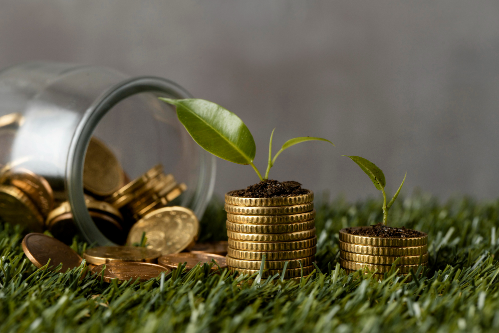 front-view-of-two-stacks-of-coins-on-grass-with-jar-and-plants.jpg