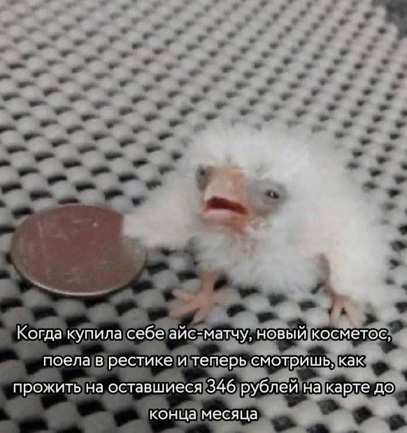 1_4.jpg
