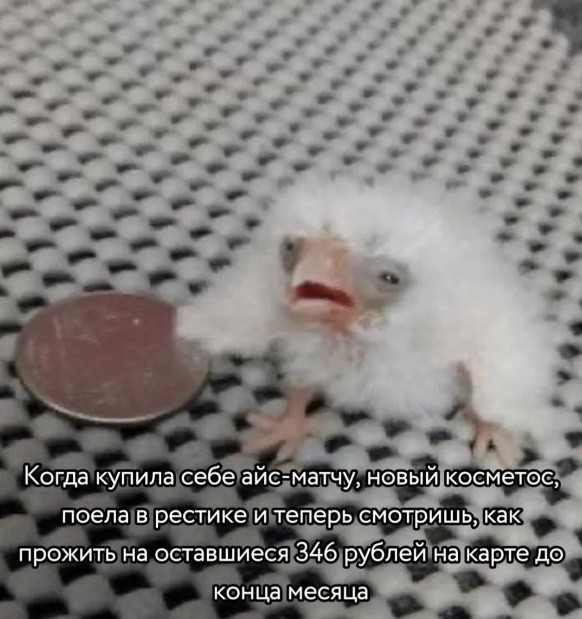 1_4.jpg