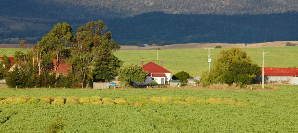 farmhouse-trees_1308-41466.jpg