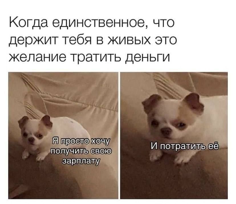 1_1.jpg