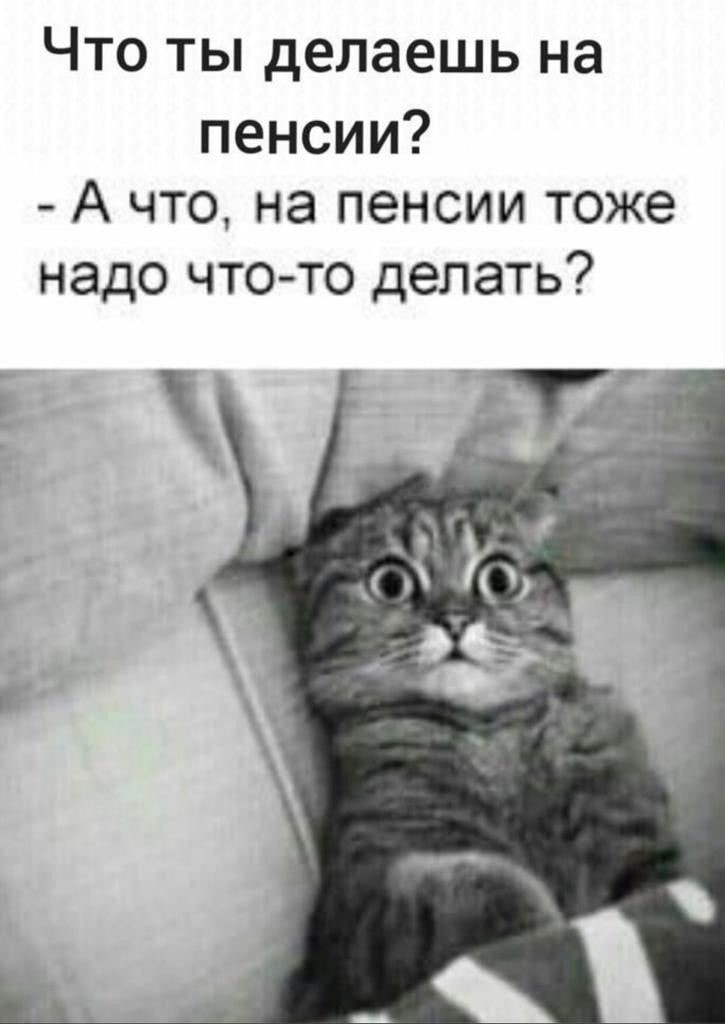 1_19.jpg